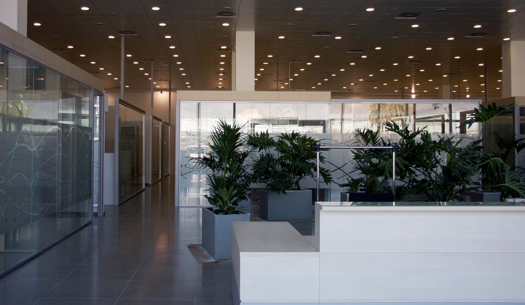 Privacidad en las oficinas de BAYER CropScience de Valencia