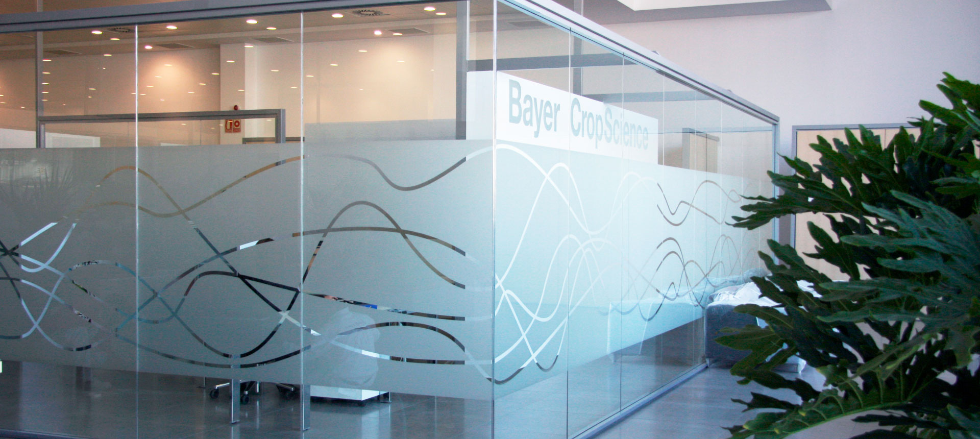 Proyecto Movinord Project | BAYER